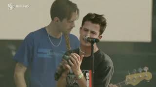 Wallows  Lollapalooza Chicago 2022  Full Show HD [upl. by Legge10]