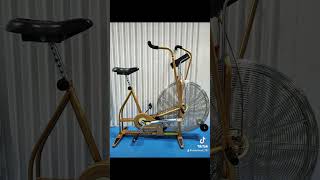 Schwinn Airdyne [upl. by Ettenowtna]