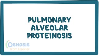 Pulmonary Alveolar Proteinosis PAP NORD [upl. by Abdu313]