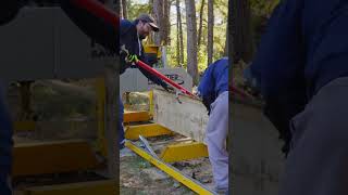 Quartersawing a Massive White Oak on My Frontier Sawmill [upl. by Hess473]