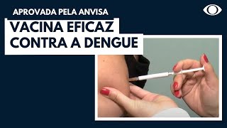 Vacina eficaz contra a dengue [upl. by Daitzman373]