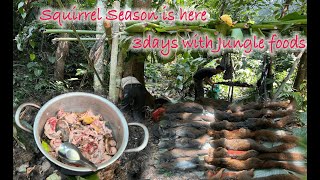 Deep Jungle Hunting with Hmong Boy  Lao Jungle Secret [upl. by Efi]