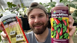 Hydroponic Nutrient Solution for Houseplants in Leca [upl. by Fredric84]