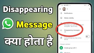 Whatsapp Disappearing Messages  Disappear Message Kya Hai  Despairing Message In Whatsapp [upl. by Clarance530]