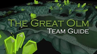 The Great Olm Team Guide  Beginner Tips and Skipping Special Attacks [upl. by Naamana]