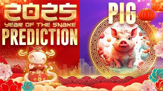 2025 Chinese Zodiac Pig Horoscope Prediction 2025Prediction [upl. by Ing678]