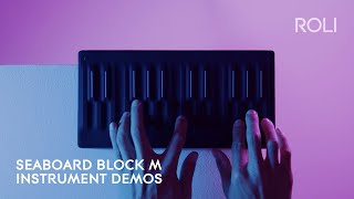 Seaboard BLOCK M Any instrument is possible Anywhere [upl. by Negaem284]