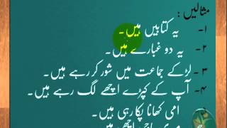 Hai or hain ka farq  Urdu Grammar Part 8 [upl. by Eetnwahs]