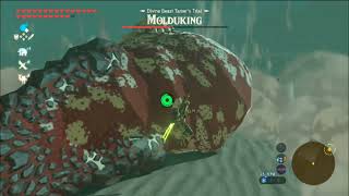 The Legend of Zelda Breath of the Wild on Yuzu Android  Molduking Hunt [upl. by Eiramaliehs555]