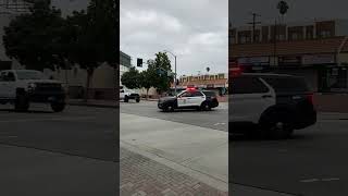 LAPD Police Sound Car Siren [upl. by Seeto]