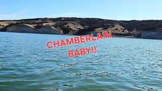 Missouri River CHAMBERLIAN SD Searching for WALLEYE [upl. by Horatius708]