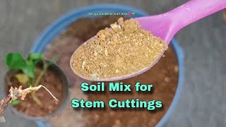 SOIL MIX for Stem CuttingsHenna cuttingpropagationTelugu gardener with arts chikkudusweet potato [upl. by Nirtiac87]