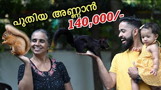 💥മരപട്ടി കുഞ്ഞുങ്ങളെ മേടിച്ചോണ്ട് വീട്ടിൽ ചെന്നപ്പോൾ…  Bought new Cambodian Squirrels [upl. by Nyrac]