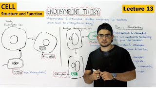 The Endosymbiotic Theory  Evolution of mitochondria and chloroplast  Video 13 [upl. by Nilla]