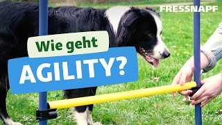 Wie geht Agility Einfache Übungen für Anfänger Tunnel Sprünge Slalom [upl. by Enilekaj]