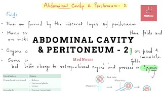 Abdominal Cavity amp Peritoneum  2  MedNotes [upl. by Eittol341]