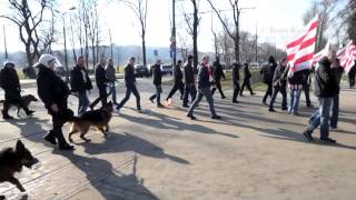 Cracovia fans  Derby Kraków 2322014 [upl. by Eckhardt]