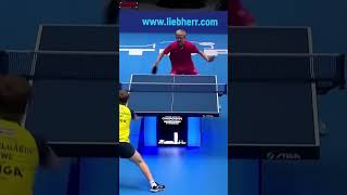 Felix Lebrun vs Truls Moregardh European Championships [upl. by Eibba]