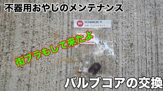 MTBのタイヤチューブのバルブコアを不器用おやじが初めて交換して見た。 [upl. by Vernon]