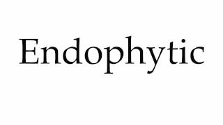 How to Pronounce Endophytic [upl. by Lurleen50]