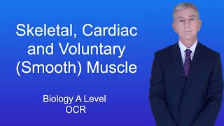 A Level Biology Revision Year 13 quotSkeletal Muscle Cardiac Muscle and Involuntary Smooth Muscle [upl. by Syla806]