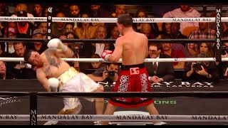 TKO Highlight  Danny Garcia vs Brandon Rios [upl. by Ellenej595]