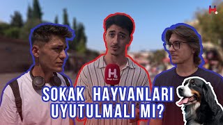 SOKAK HAYVANLARI UYUTULMALI MI  SİYASİ MİKROFON [upl. by Iyre]