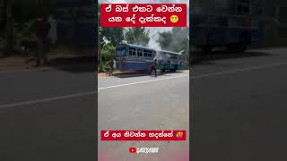 එයාට කරදරයක් 😱 automobile 1millon teamsasindu trending bus sasiyabro [upl. by Allianora132]