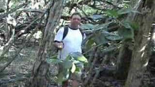 Hike to Captain Cooks Monument on Kealakekua Big Island Hawaii [upl. by Bessie]