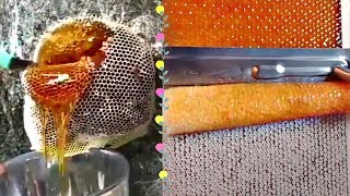 MOST AMAZING HONEYCOMB UNCAPPINGOddly Satisfying ASMR [upl. by Akcemat]