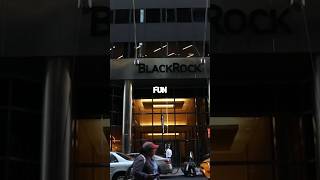 Fun Fact About BlackRock blackrock investing world [upl. by Nadine]