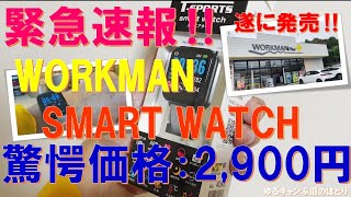 緊急速報‼ワークマン・スマートウォッチ2900円新発売‼速報レビュー‼ [upl. by Essile]