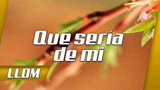 Qué sería de mi Lldm Santa cena [upl. by Pierrepont]