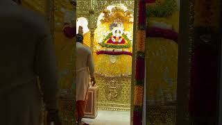 Jay shree shyam baba🙏🥀shyam Mor Mukut bansi wale ki Jaykhatushyam hindugod  youtubeshorts yt ❤ [upl. by Mallissa]