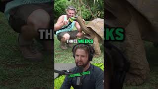 Rescuing a Dehydrated Tortoise Heartwarming Conservation Story with Forrest Galante amp Joe Rogan [upl. by Richmound]