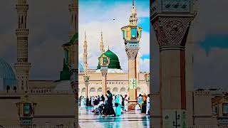 shortvideo islamicvideo [upl. by Olympie491]