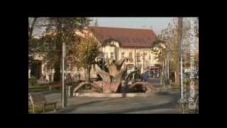 Vreme je za bebe 200512flv [upl. by Ilellan]