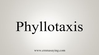 How To Say Phyllotaxis [upl. by Kaitlyn]