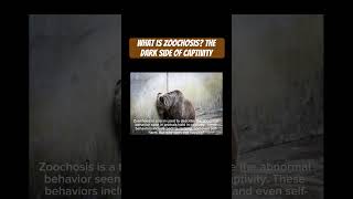 What is Zoochosis  The Dark Side of Captivity animals imformative captivity zoo zoochosis [upl. by Dunning393]