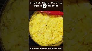 Dehydrated Eggs Powdered Eggs in 6 Easy Steps [upl. by Annavaig590]