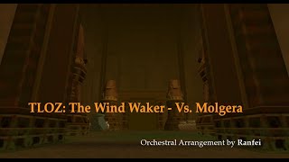 Molgera Battle  Orchestral Arrangement by Ranfei [upl. by Aiceila]