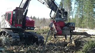 Log Max 7000XT Fixed Head Processing Hardwoods on a Timber Pro 725 Track Machine [upl. by Heidi]