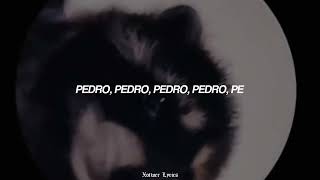 PEDRO PEDRO PEDRO PE LETRALYRICS [upl. by Nwahsiek]