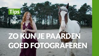 Tips voor het maken van paarden fotos  Paardenfotografie  Tips [upl. by Kehoe]