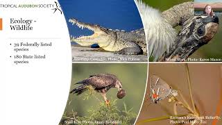 Wildlife Wetlands and the Everglades NOV 2023 [upl. by Russom]