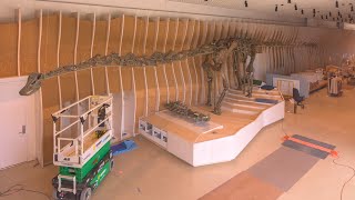 Gnatalie the NEW Green Dino at NHM Commons Sauropod Dinosaur timelapse losangeles nhmla [upl. by Dulcle]