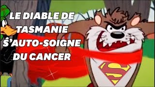 Le diable de Tasmanie est capable de se guérir lui même du cancer [upl. by Eceirahs203]