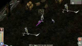 Project Shinru Online MMORPG Gameplay [upl. by Ainek]