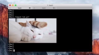 iTerm2 imgls amp imgcat [upl. by Katherine]