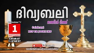 HOLY MASSLATIN MASS 01 SEPT 2024  REV FR JOSHI IMS MALAYALAM QURBANATODAY MASSGOODNESS TV [upl. by Nottus]